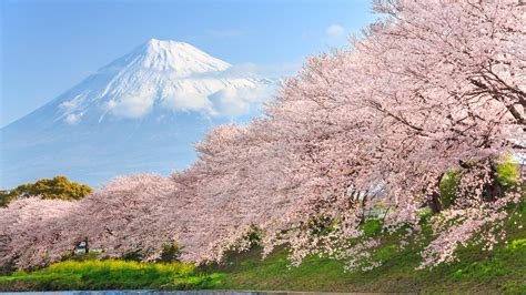 Cheap Flights from Manila to Japan from ₱3,224 .